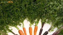 Морковите ни хранят от 5000 години