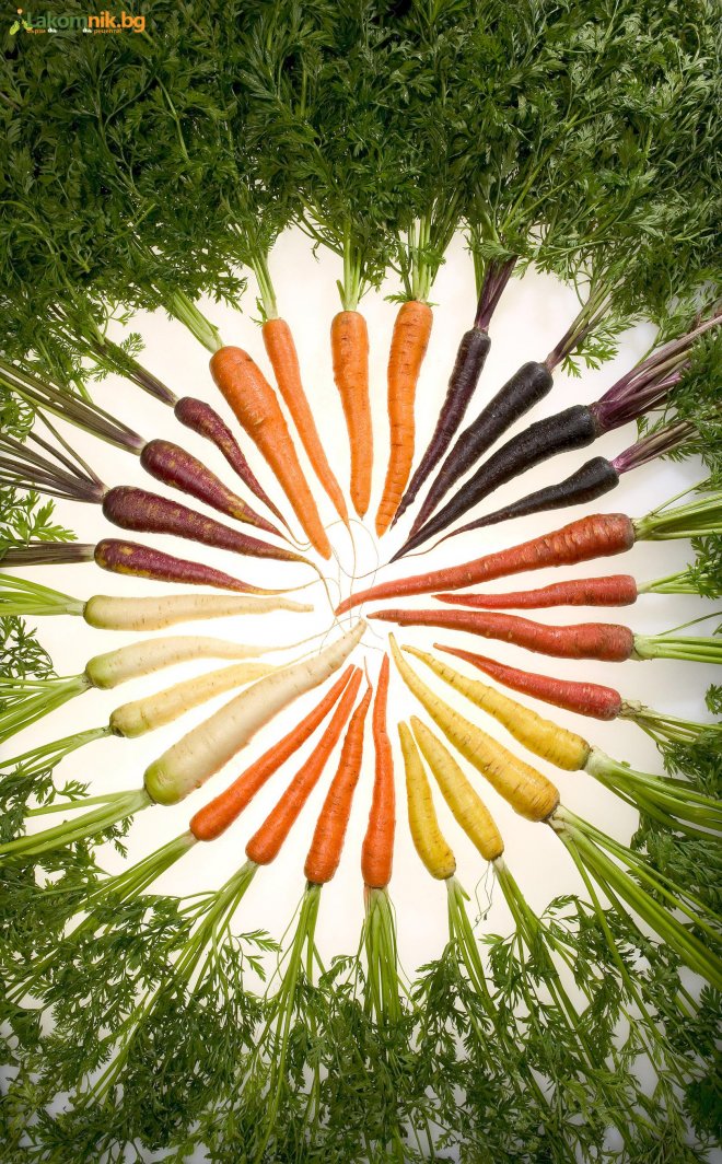 Морковите ни хранят от 5000 години