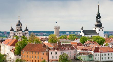 В Естония гощават с кървавица и змиорка