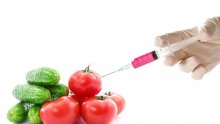 Нова епидемия: ГМО храните избиват човечеството