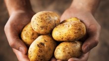 Перуанците хапвали картофи още преди 5000 години