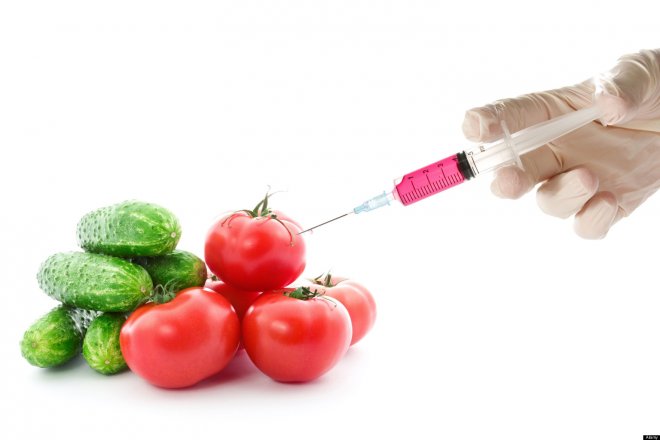 Нова епидемия: ГМО храните избиват човечеството