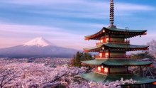 Опитайте от екзотиката на далечна Япония