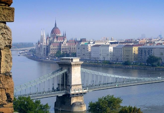 Чудните гозби на Дунав