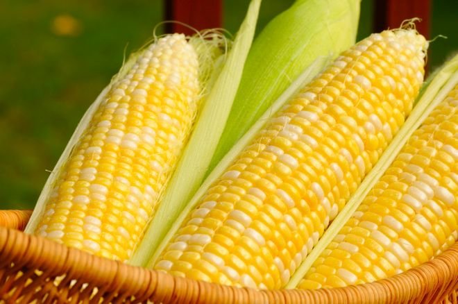 7 здравословни ползи от царевицата
