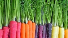 Морковите били лилави и бели преди 50 века